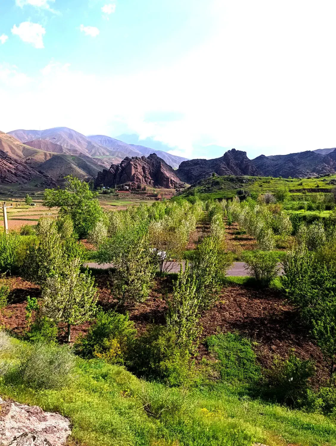 باغ گیلاس زمین 6500متر بهر آسفالت|فروش دفتر صنعتی، کشاورزی، تجاری|قزوین, |دیوار