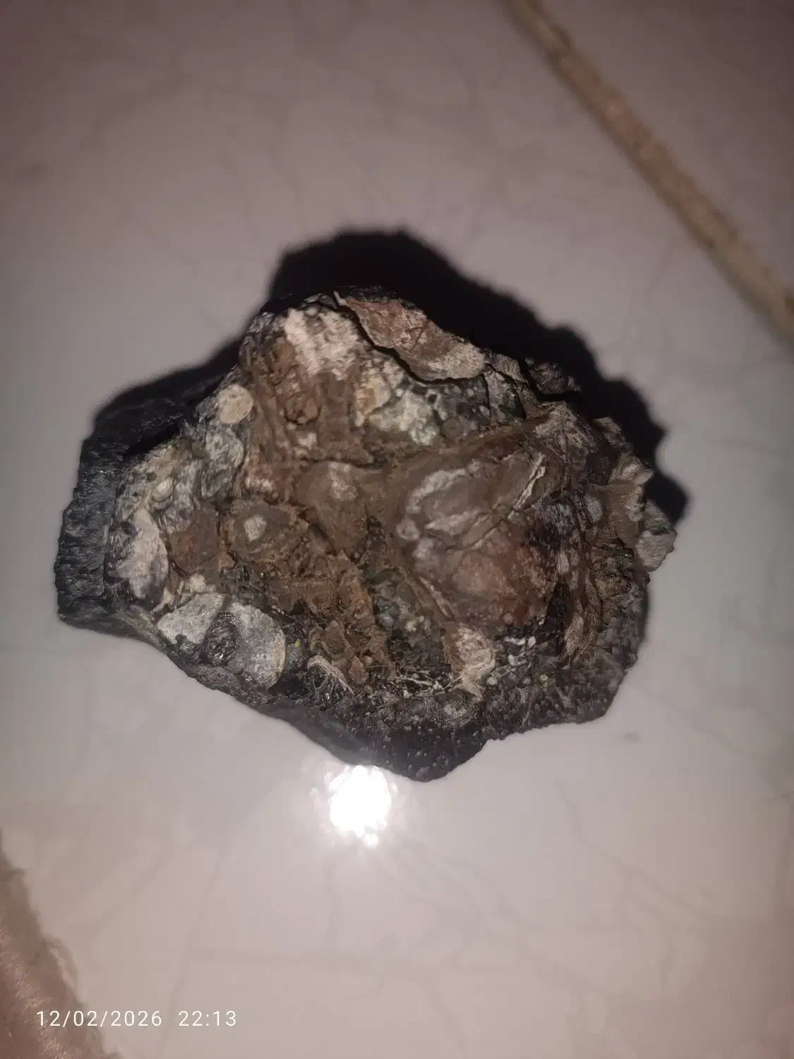 شهاب سنگ|کلکسیون اشیاء عتیقه|مشکین‌دشت, |دیوار