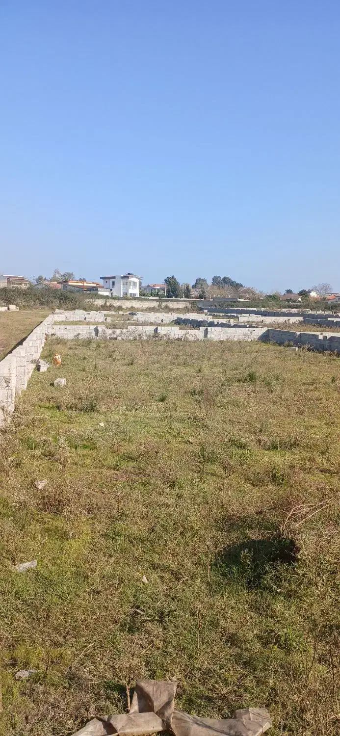 زمین‌های قطعه بندی شده دوبر در بافت مسکونی/چمخاله|فروش زمین و ملک کلنگی|چاف و چمخاله, |دیوار