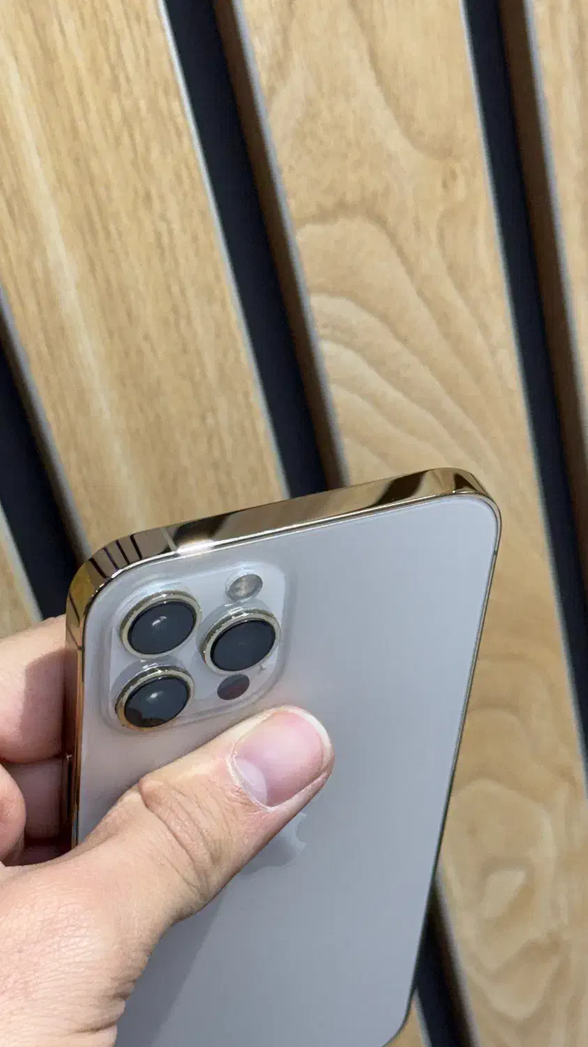 ایفون ۱۲ پرومکس|موبایل|تهران, درختی|دیوار