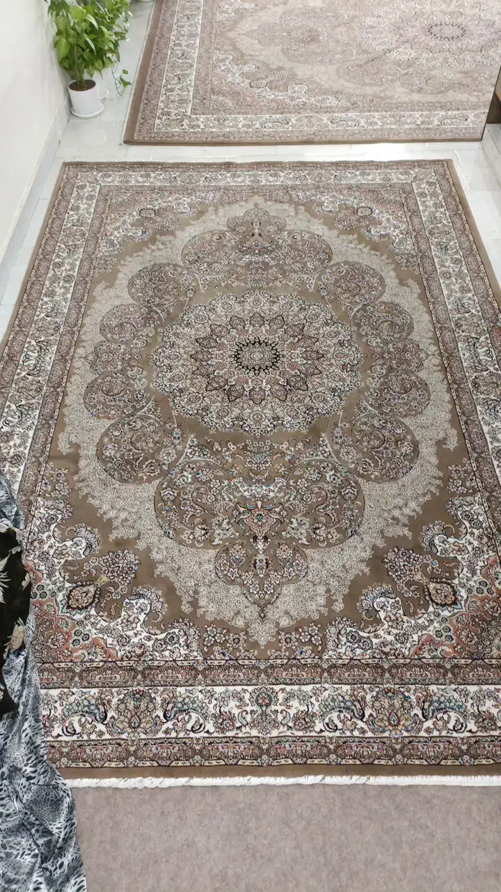 فرش 6متری|فرش|کنگاور, |دیوار