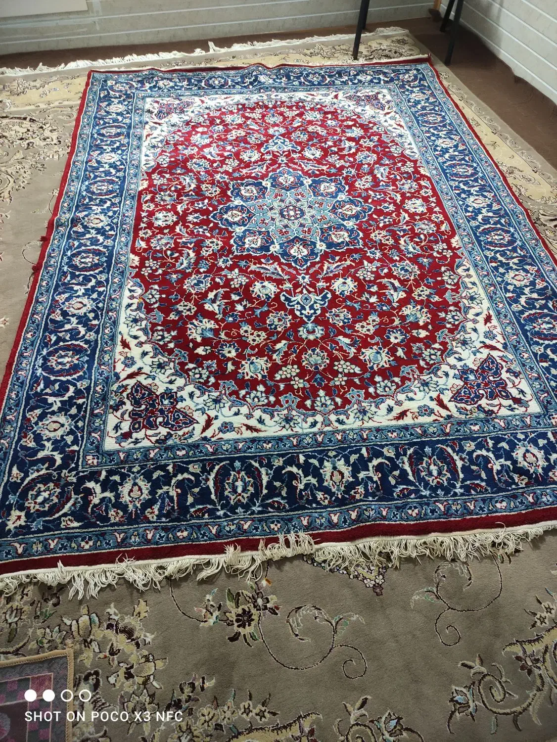 دو عدد قالی شش متری ویک گلیم شش متری|فرش|مزرعه کتول, |دیوار