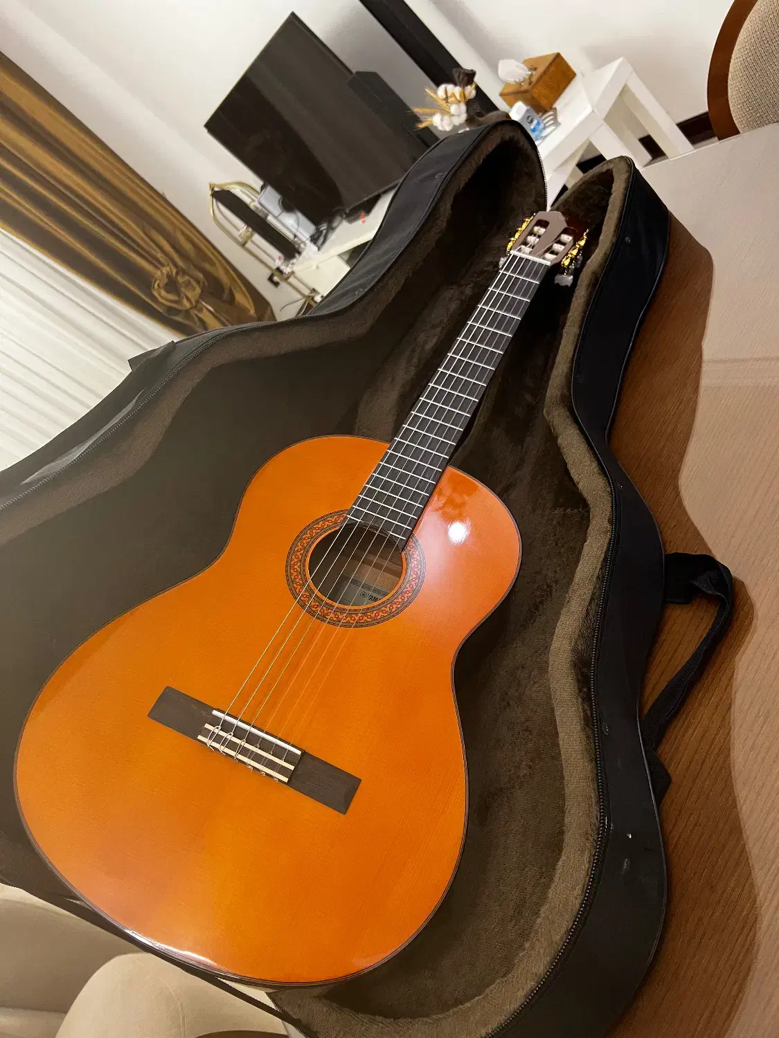 فروش گیتار نو|گیتار، بیس، امپلیفایر|کیش, |دیوار