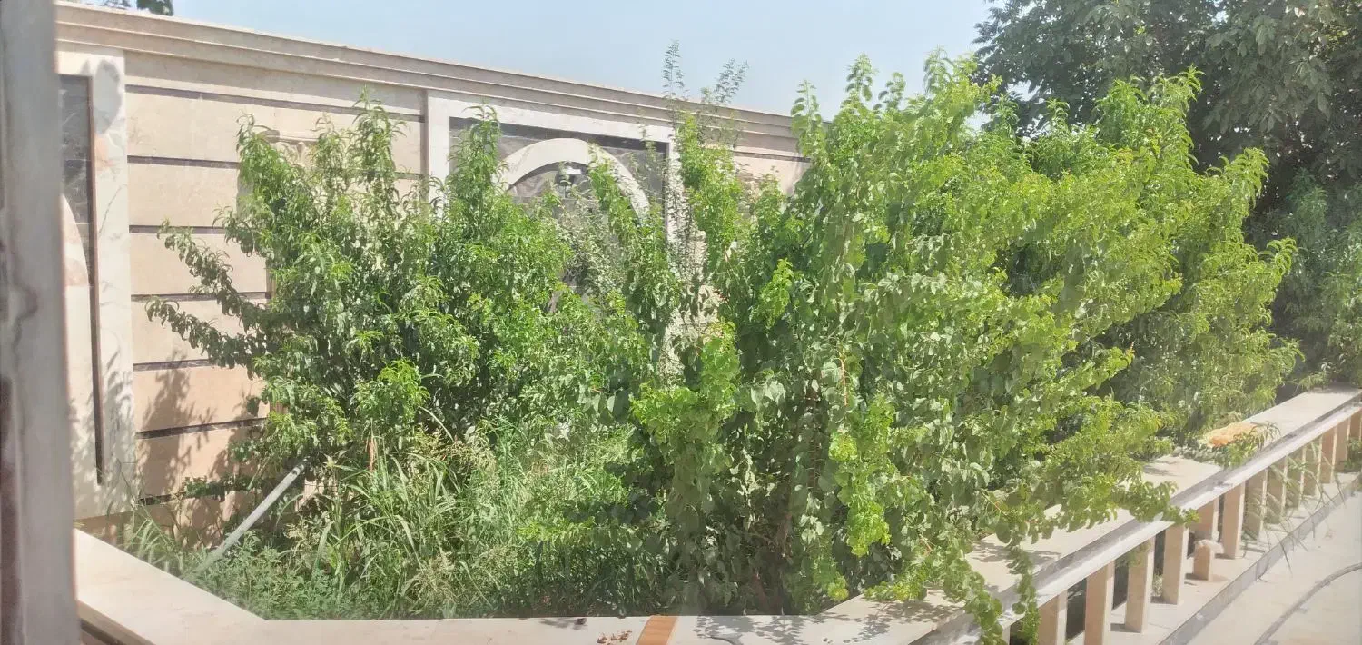 ،کمپ،دورهمی،جمع دوستانه|تور و چارتر|تهران, استاد معین|دیوار