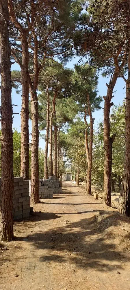 تامین اب جهت شرکت های فروش اب در کهریزک وحومه|خدمات باغبانی و درختکاری|کهریزک, |دیوار