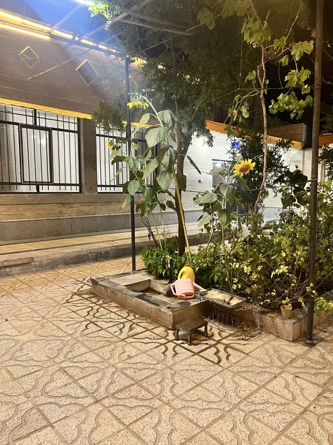 تصویر 5