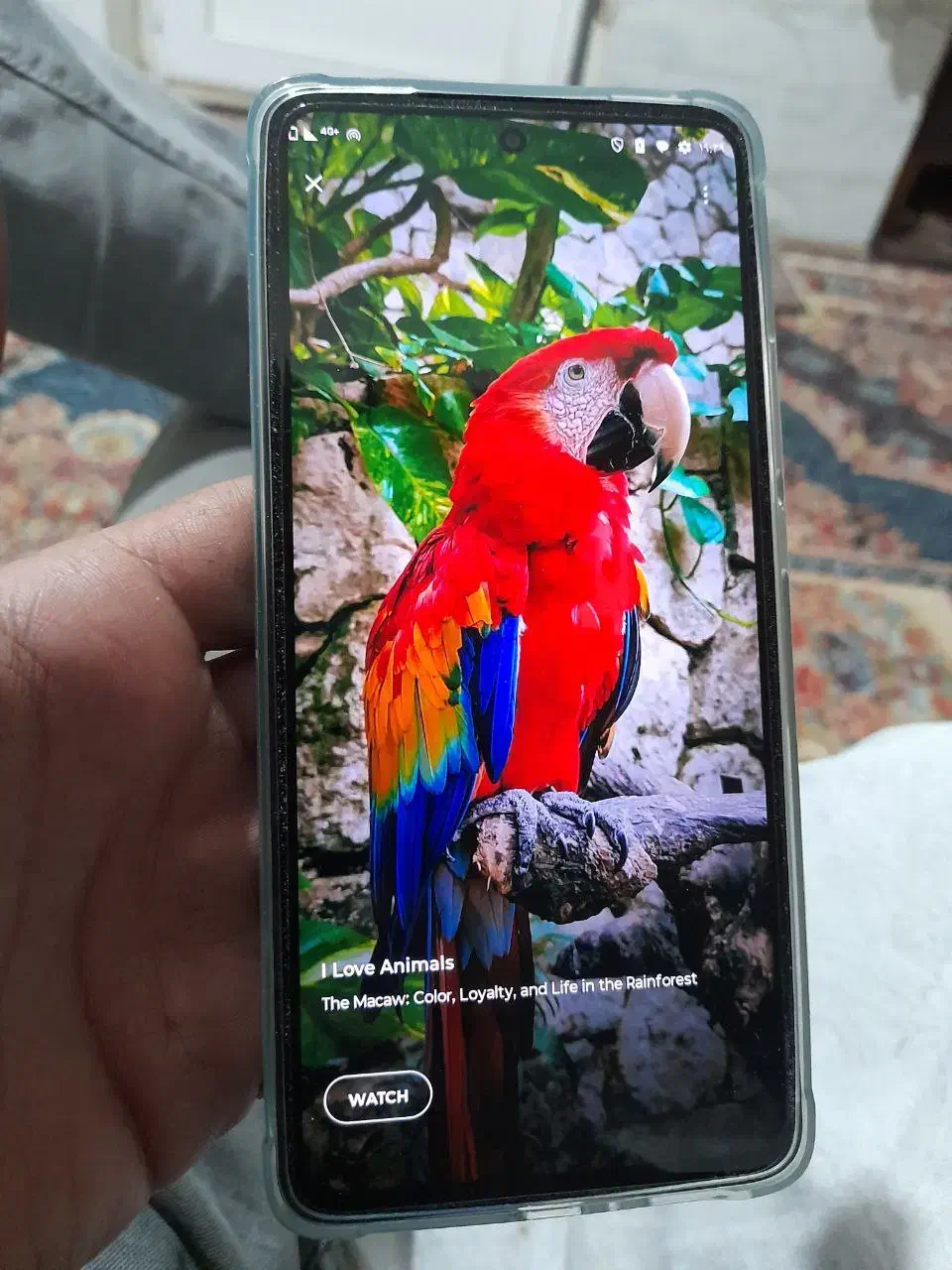 Motorola edge 30|موبایل|شیراز, صنایع الکترونیک|دیوار