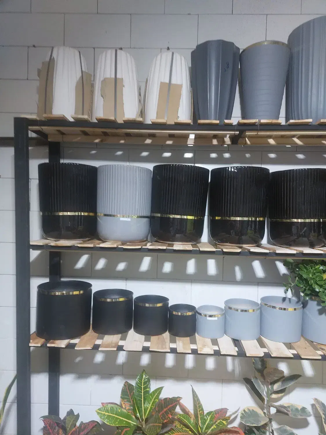 گل وگلدان|گل و گیاه طبیعی|اسلامآباد غرب, |دیوار