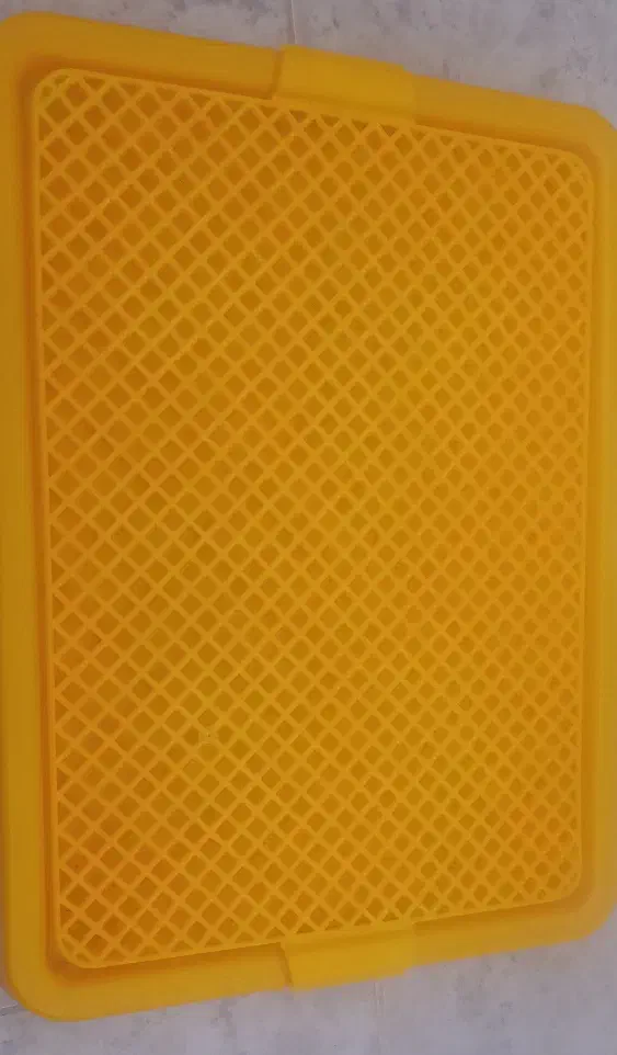 توالت سگ|لوازم جانبی حیوانات|تربتحیدریه, آغوی|دیوار