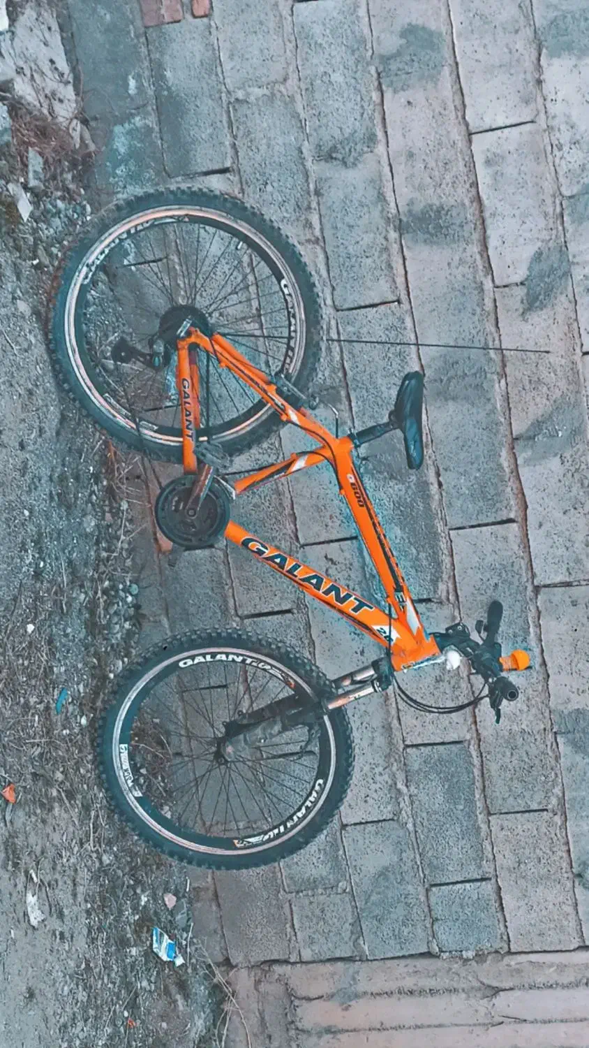 دوچرخه 26|دوچرخه، اسکیت، اسکوتر|بانه, |دیوار