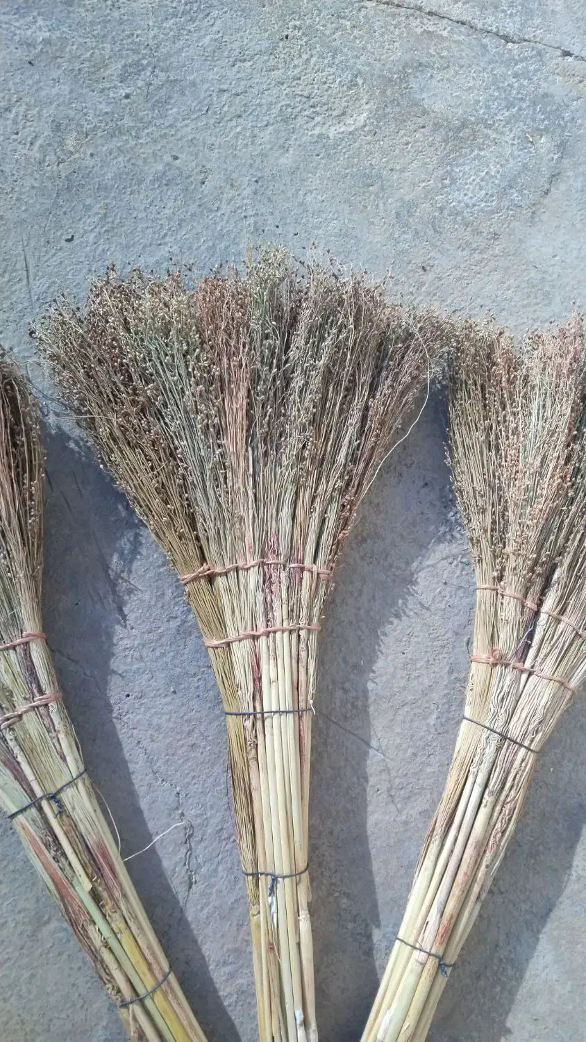 فروشی|لوازم نظافت|کوهدشت, |دیوار