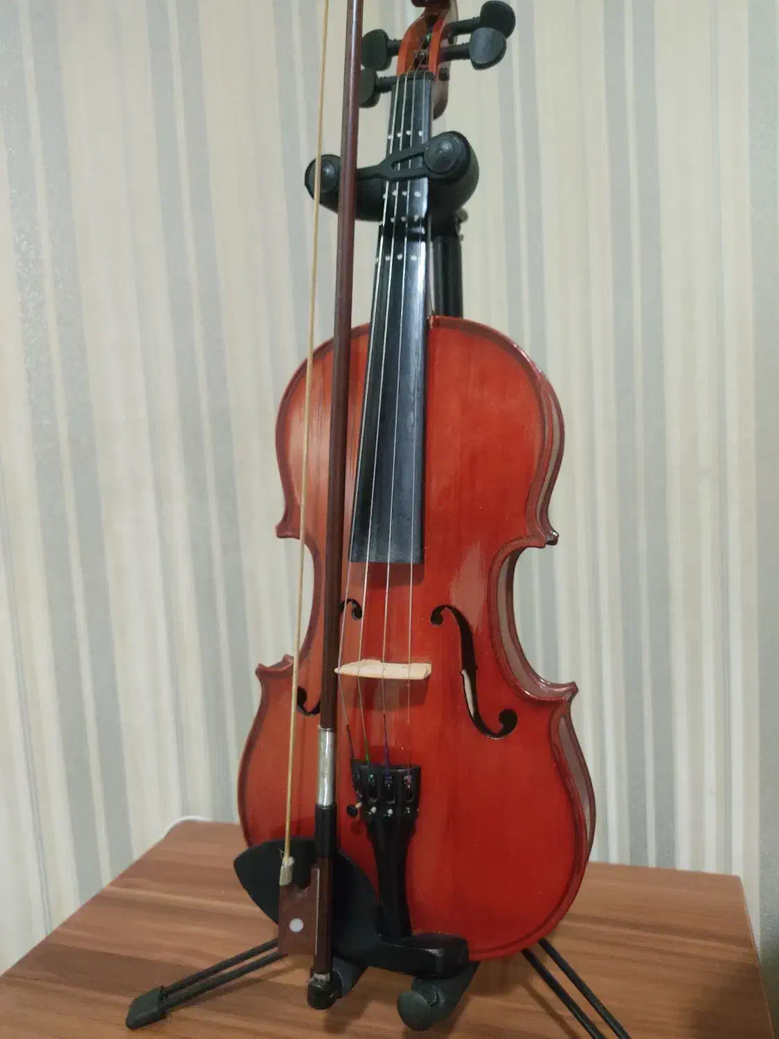 ویولن Renato 3/4|ویولن|همدان, |دیوار