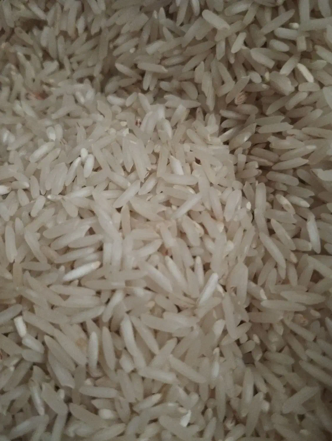 برنج ضیغمی وطارم|خوردنی و آشامیدنی|سیروان, |دیوار