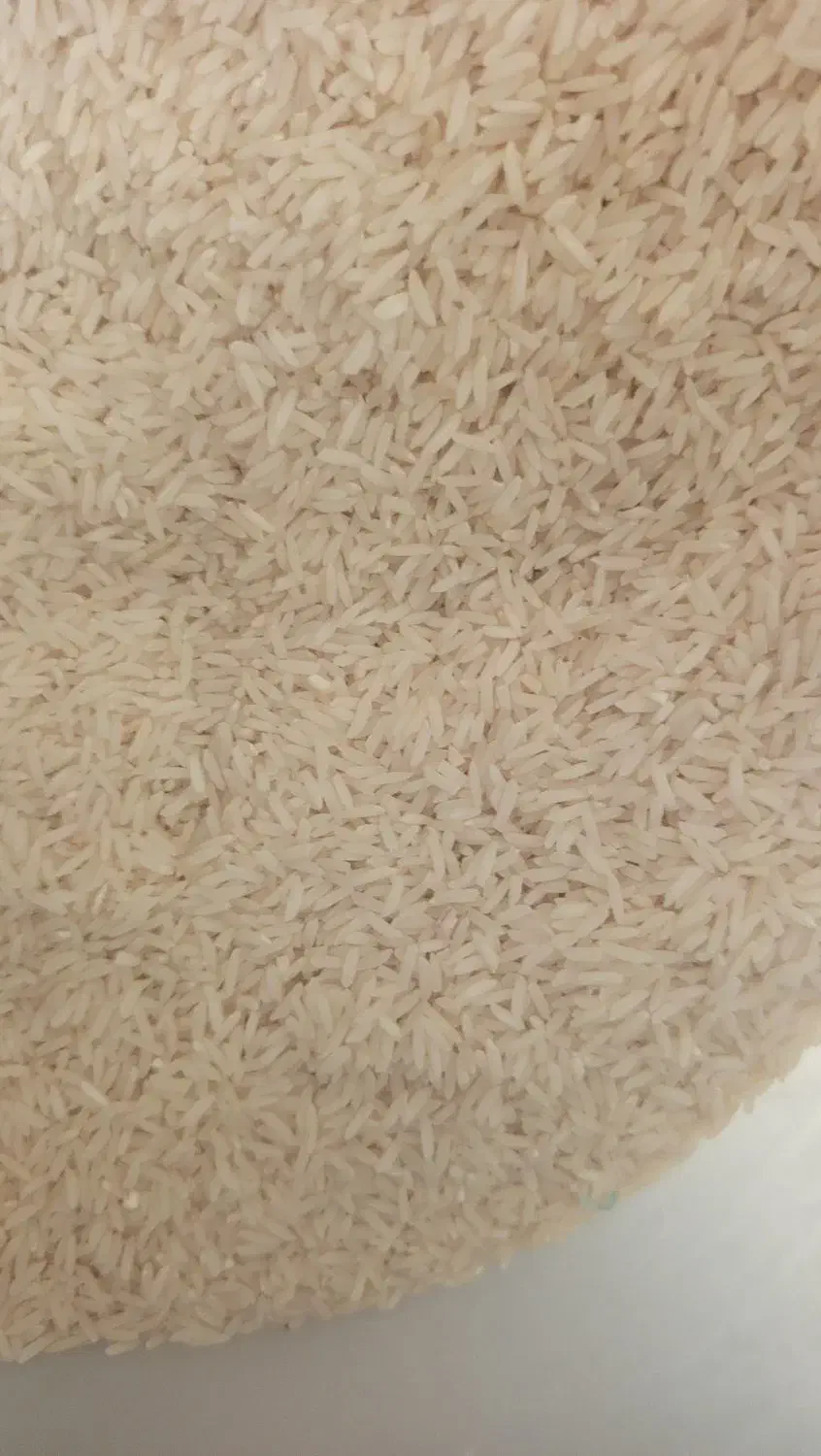 برنج طارم هاشمی گیلان|خوردنی و آشامیدنی|شاهین‌شهر, شهرک میلاد|دیوار