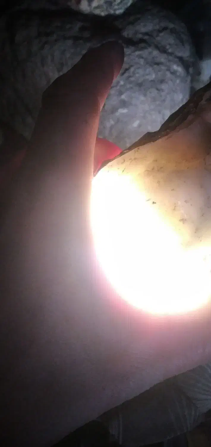 فروشی|جواهرات|میانه, |دیوار