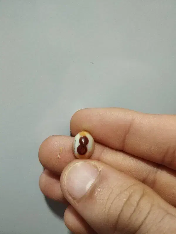 سلیمانی دو چشم|کلکسیون اشیاء عتیقه|بندر امام خمینی, |دیوار