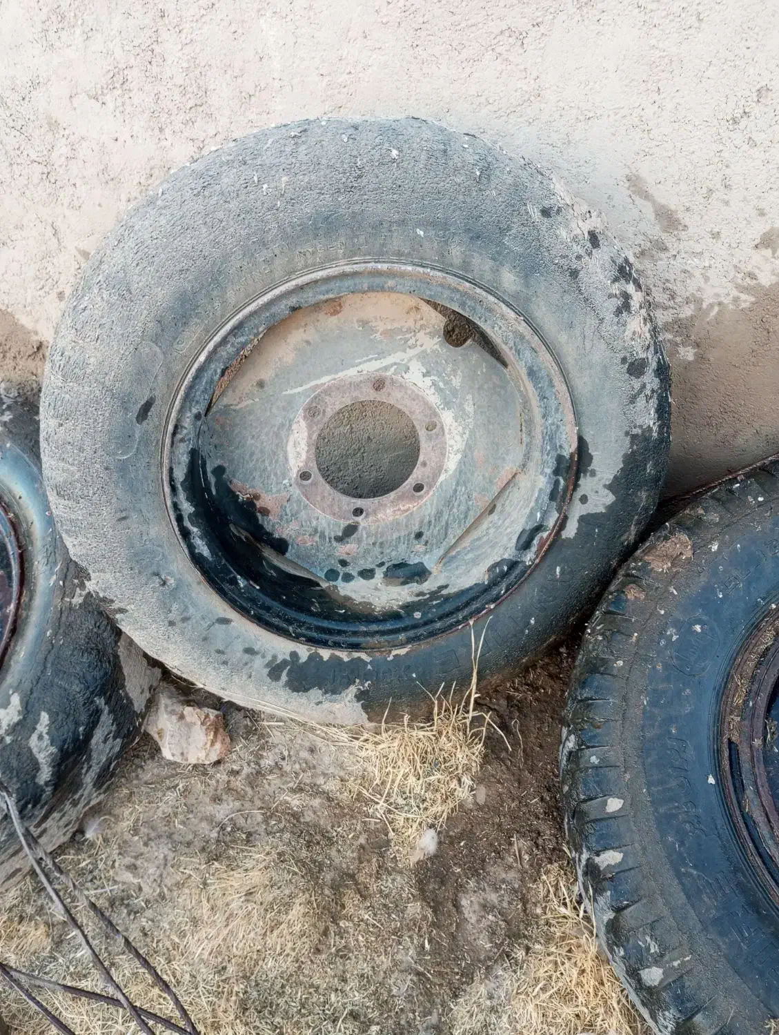 رینگ و لاستیک بیست|قطعات یدکی و لوازم جانبی|دالاهو, |دیوار