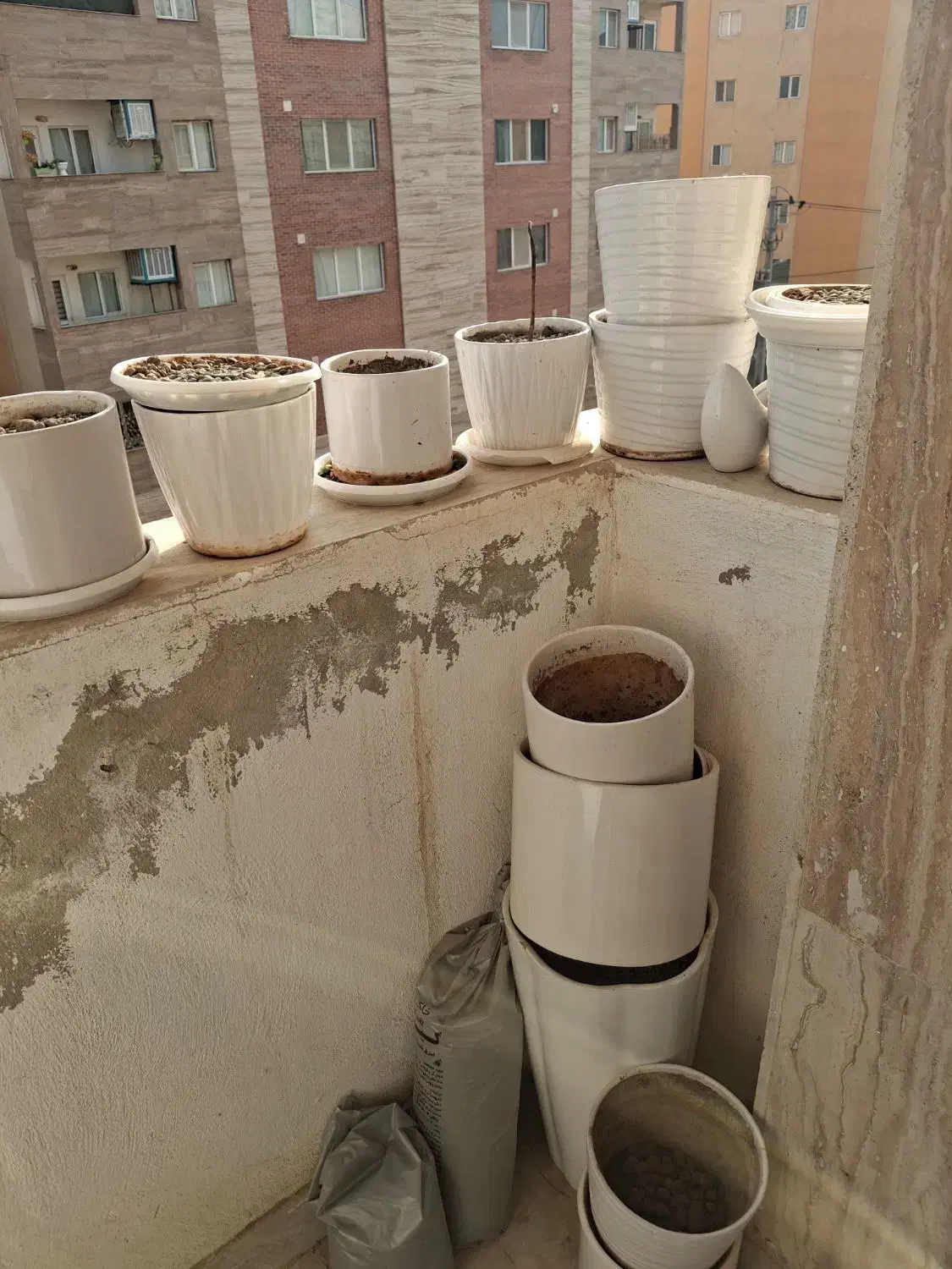 گلدان سرامیکی|گل و گیاه طبیعی|طرقبه, |دیوار