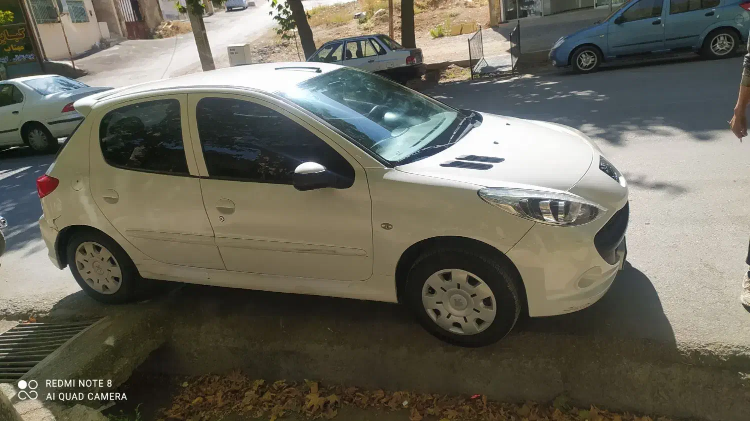 ۲۰۷فرانسوی مدل۹۰|خودرو سواری و وانت|اصفهان, باغ نگاره|دیوار