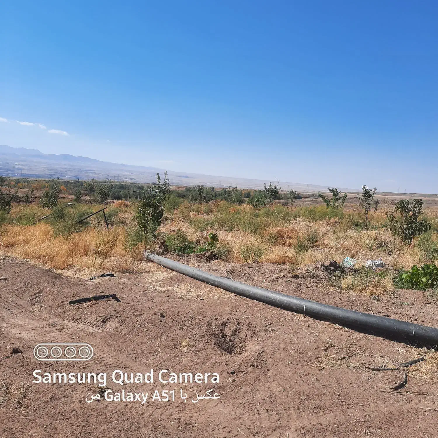 زمین کشاورزی ابی مناسب برای باغ ودامداری مرغداری|فروش زمین و ملک کلنگی|زنجانرود, |دیوار