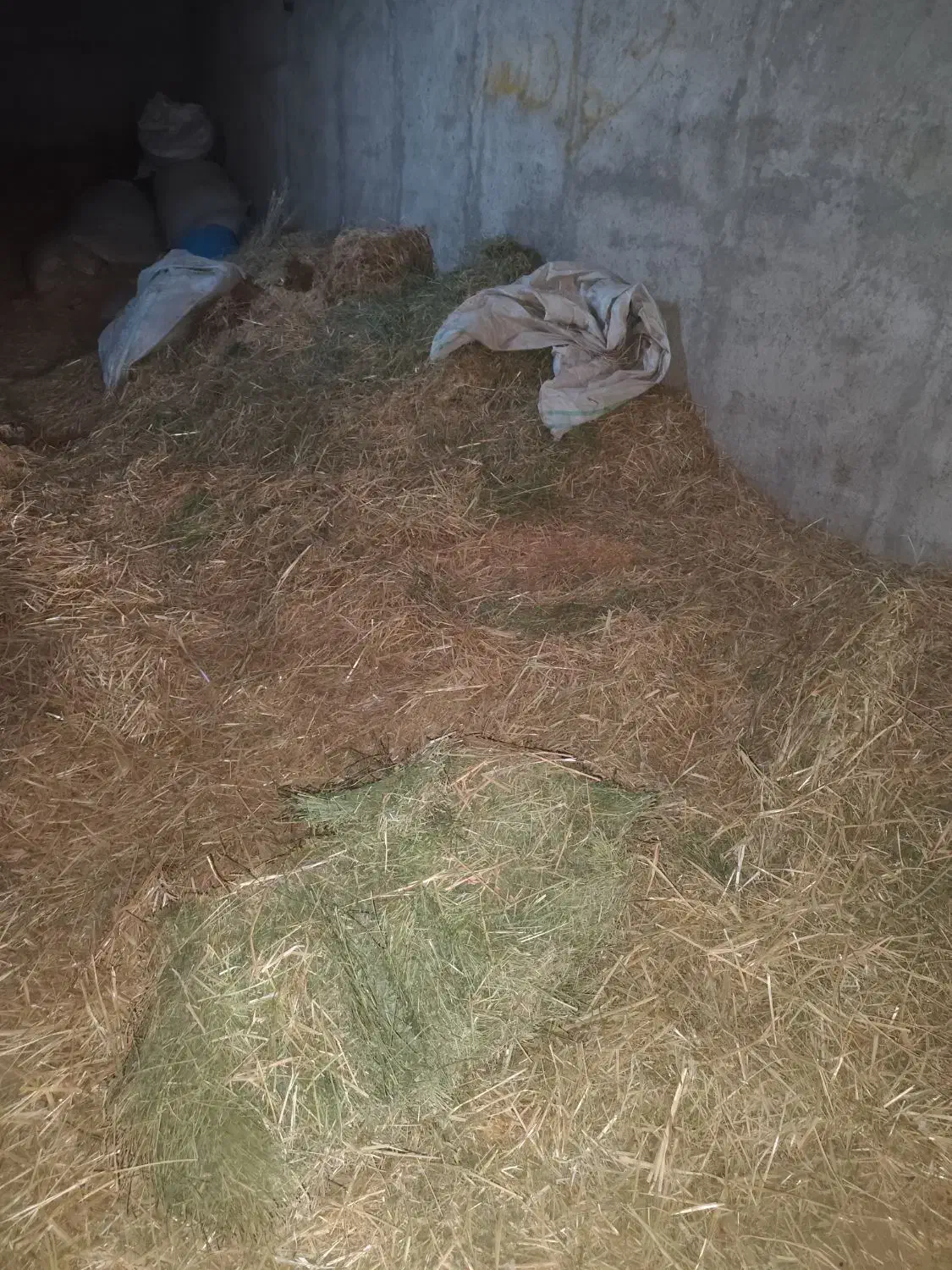 کاه یونجه علف|لوازم جانبی حیوانات|بشاریات, |دیوار