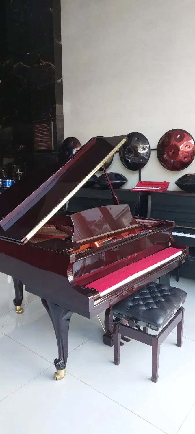 پیانو آکوستیک به قیمت پیانو دیجیتال|پیانو، کیبورد، آکاردئون|گنبد کاووس, |دیوار