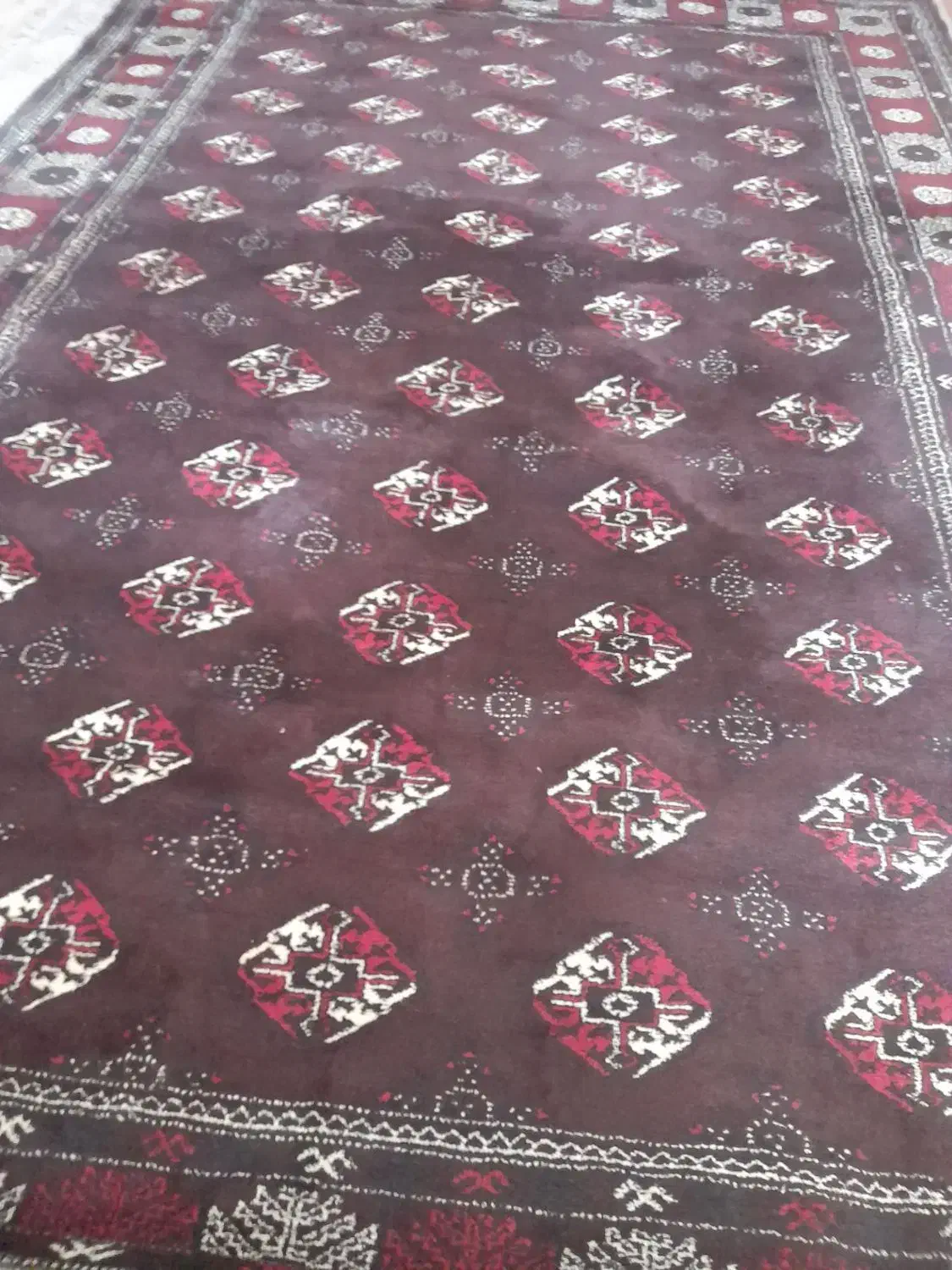 فروش قالی|فرش|گنبد کاووس, |دیوار