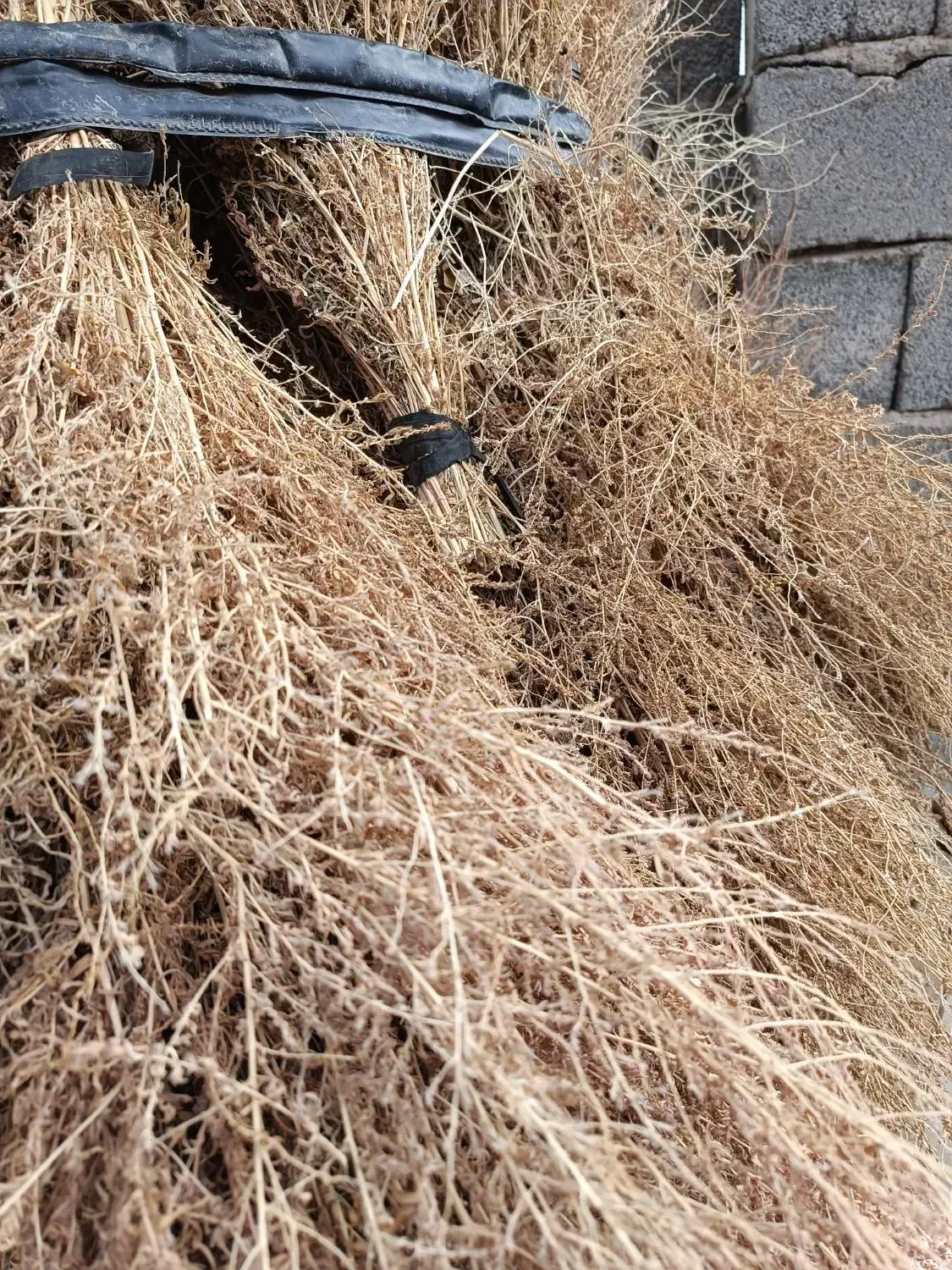 جارو|لوازم نظافت|قروه, |دیوار