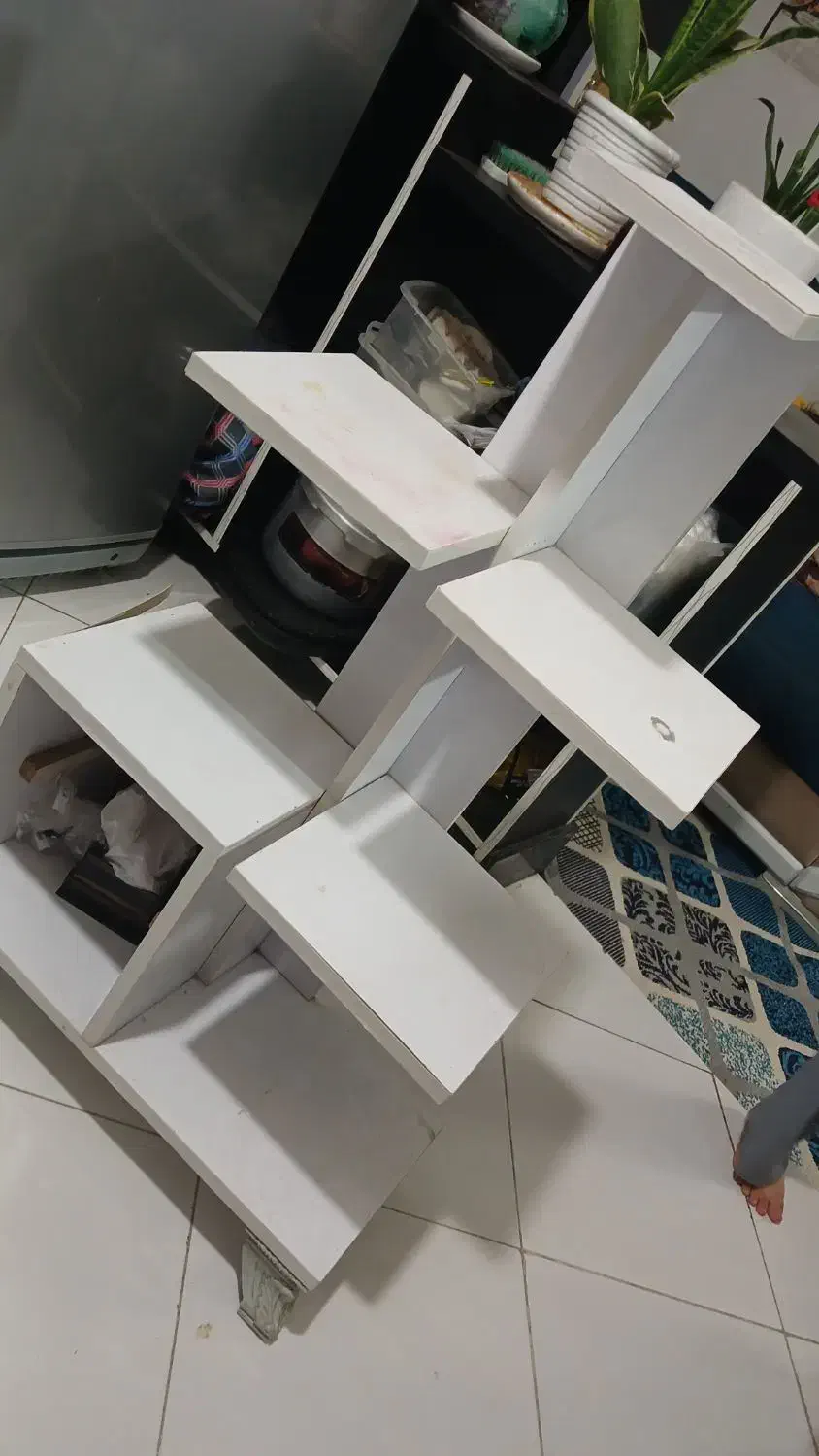 پایه قابلمه|گل و گیاه طبیعی|بیرجند, |دیوار