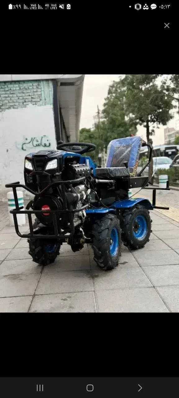 تیلرزنی|گل و گیاه طبیعی|مشهد, قائم|دیوار