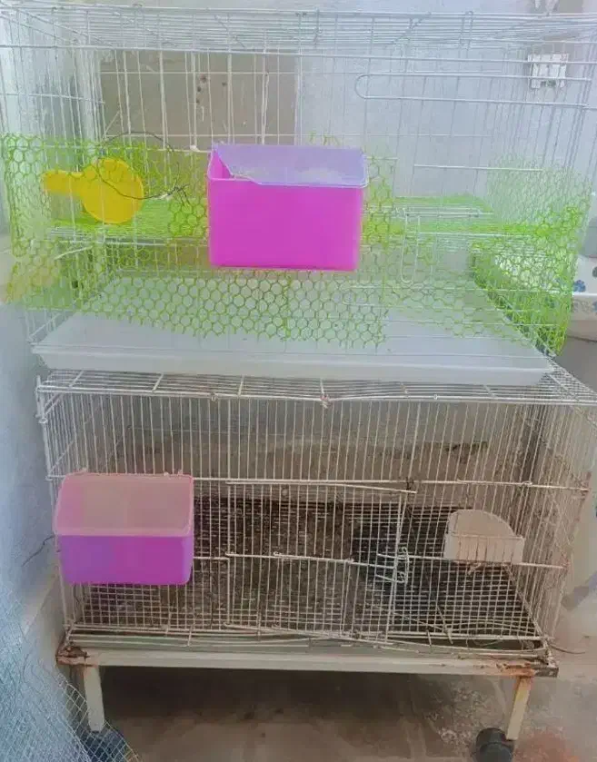 قفس مرغ و خروس|لوازم جانبی حیوانات|شیراز, شهرک مهرگان|دیوار