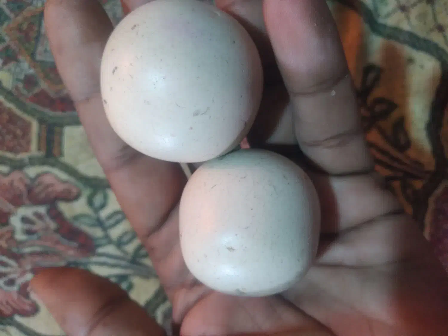 سنگ الماس آسیاب|جواهرات|خاش, |دیوار