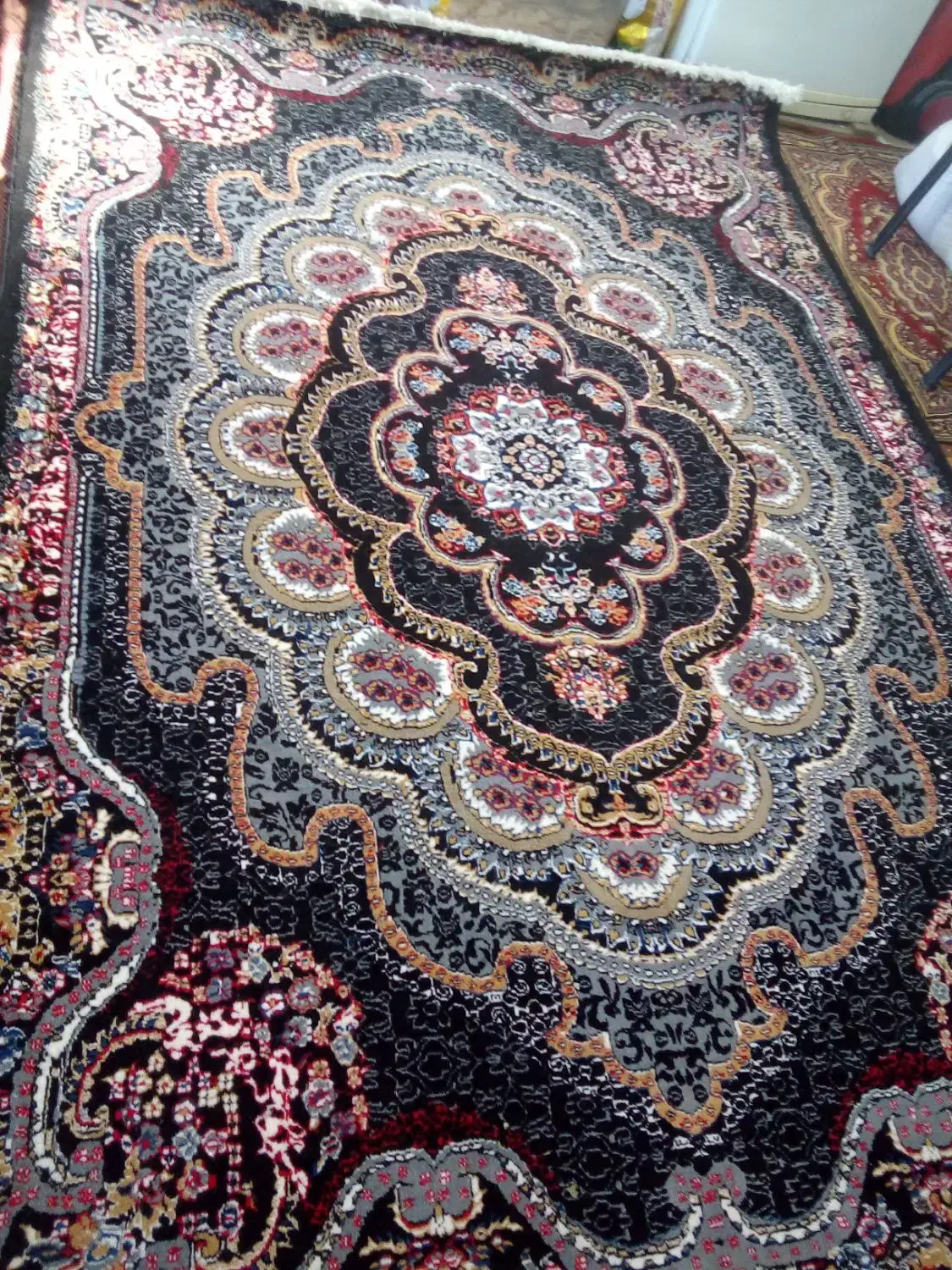 دو عدد فرش ماشینی ابریشم رخ مشهد|فرش|خوی, |دیوار