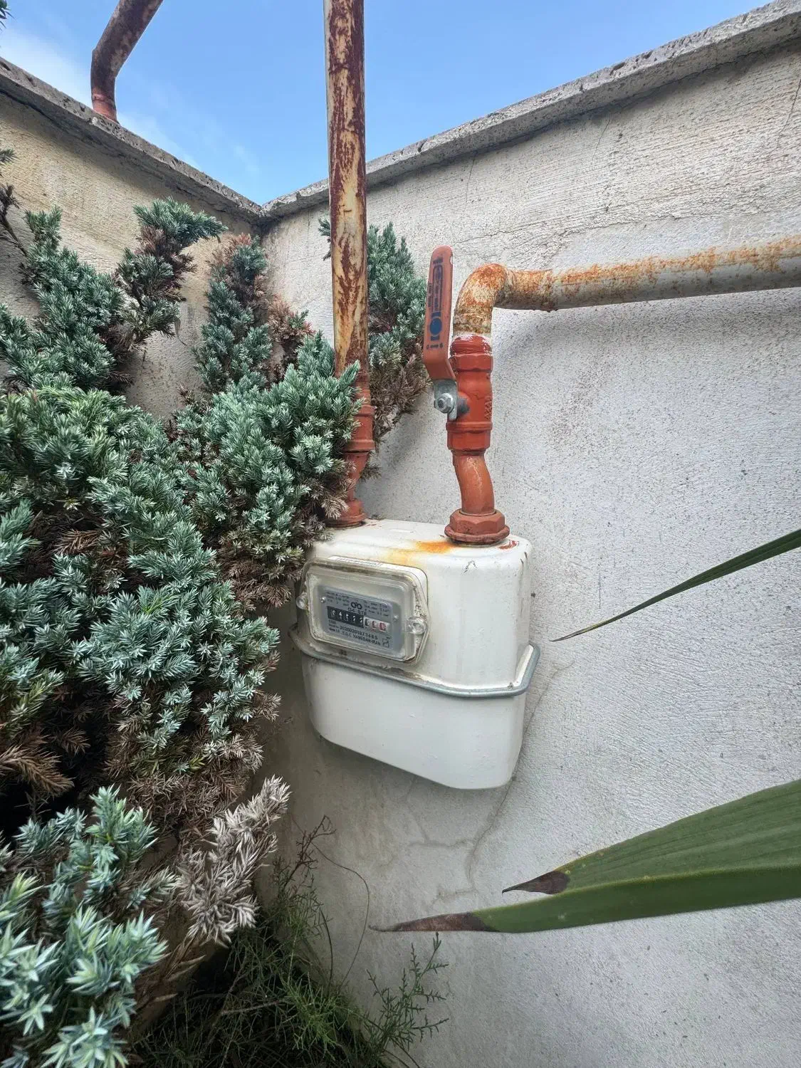 200متری 3 کنتور اختصاصی پایان کار|فروش خانه و ویلا|چمستان, |دیوار