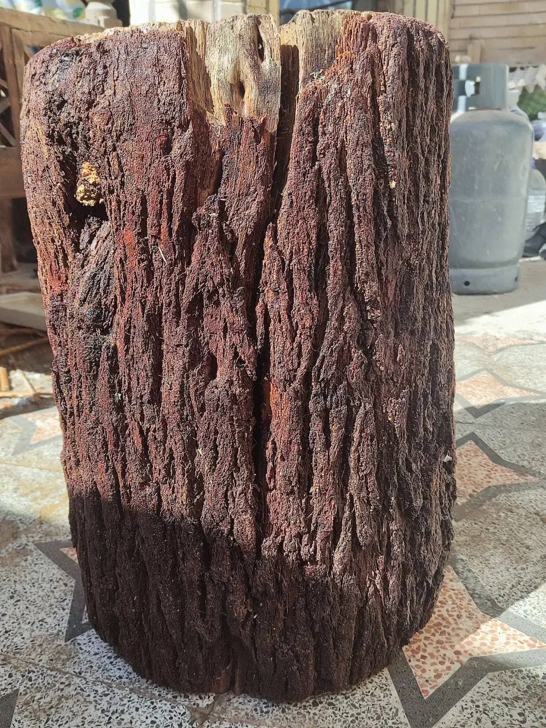 صندلی تنه درخت|صندلی و نیمکت|زابل, |دیوار