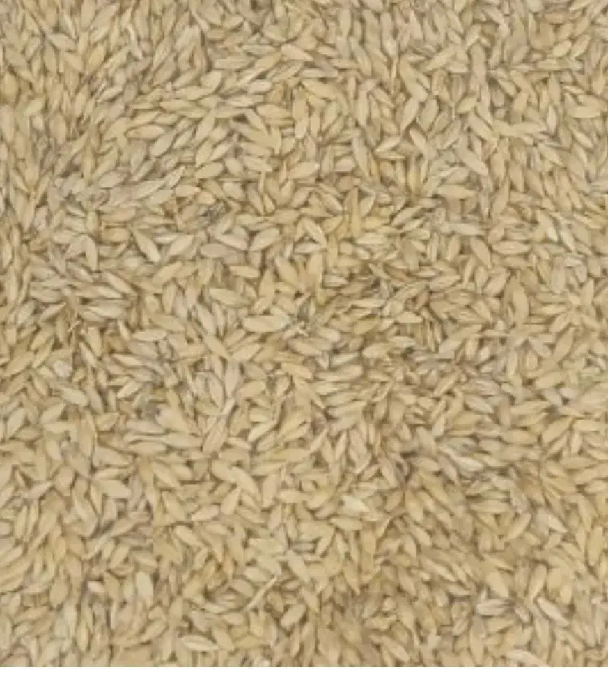 جو و یونجه|عمدهفروشی|مرودشت, بیست متری بیمارستان|دیوار