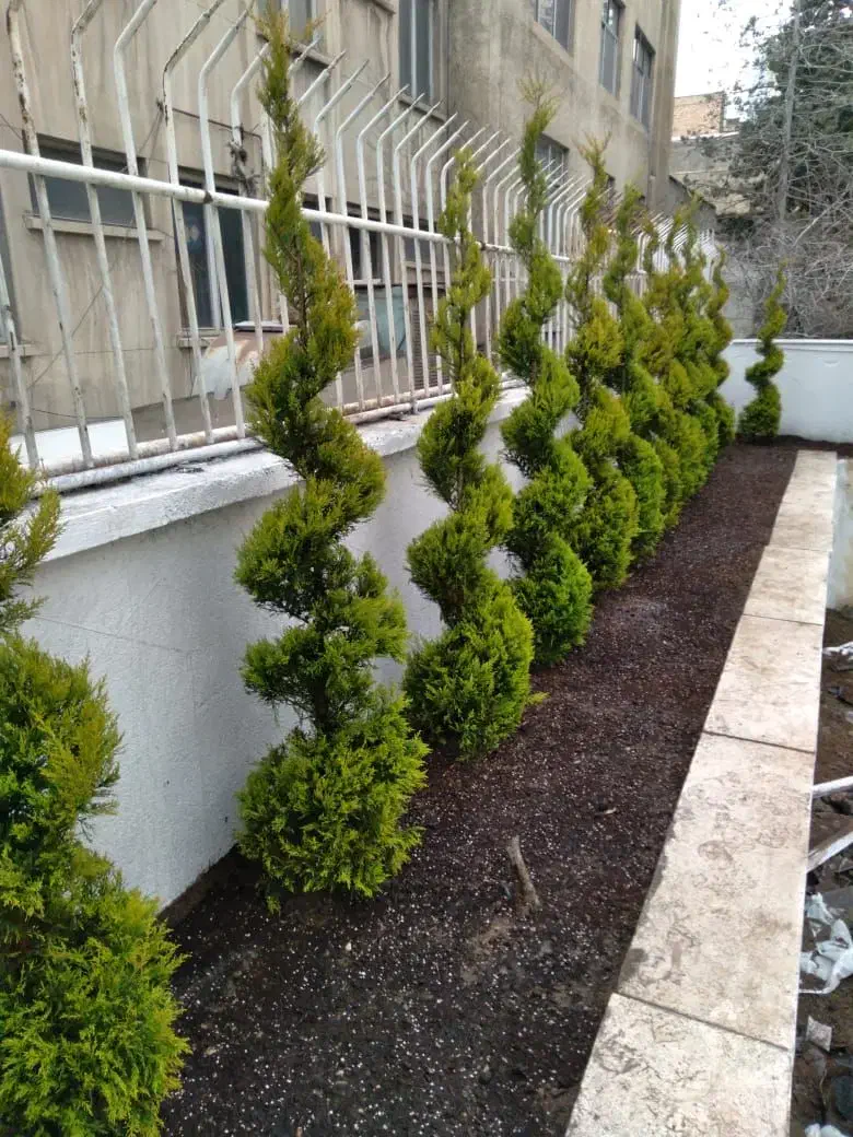 باغبانی سمپاشی هرس درختان کاشت گیاهان آپارتمانی|خدمات باغبانی و درختکاری|تهران, الهیه|دیوار