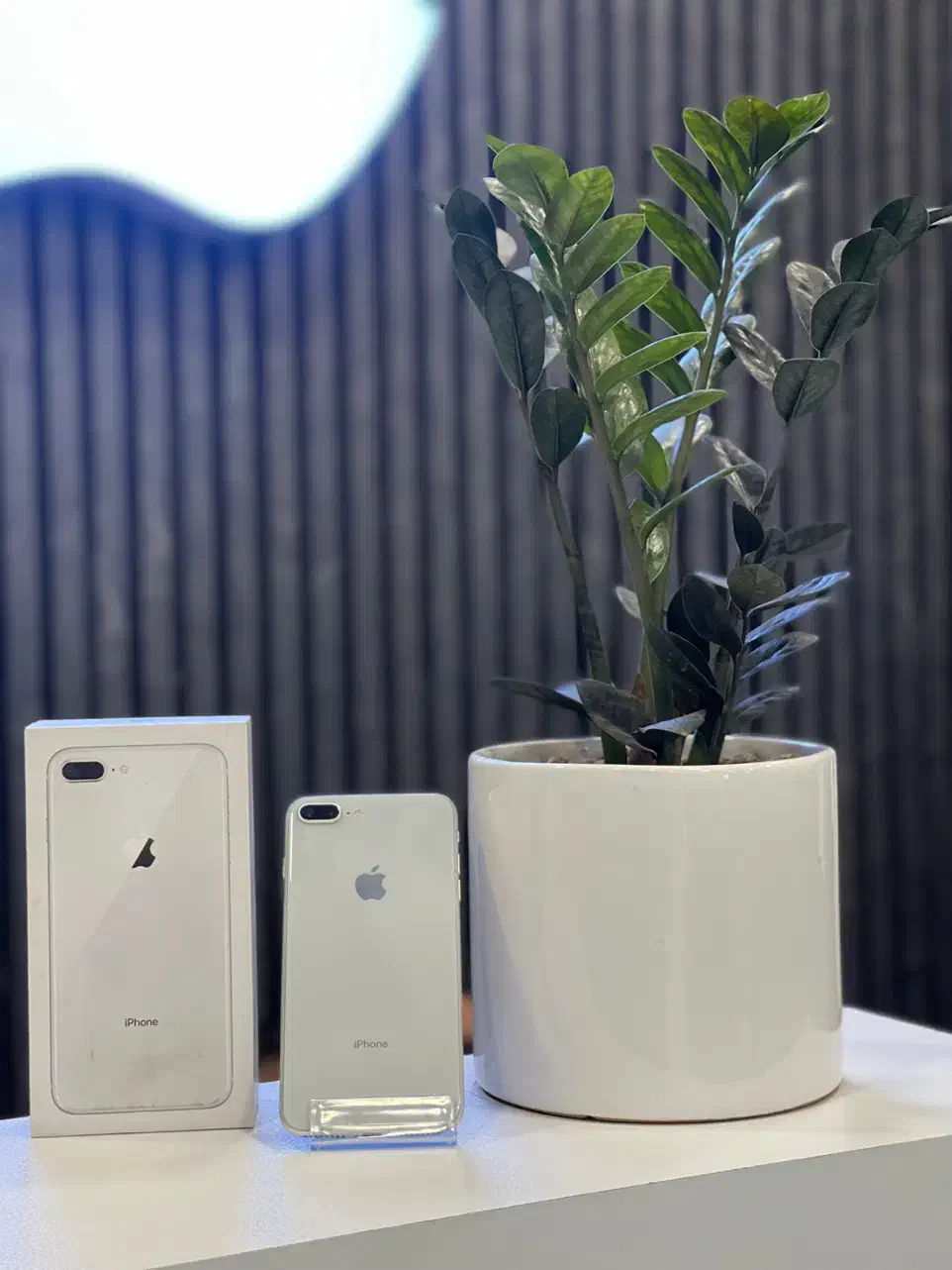 iPhone 8 Plus 64G از دم قسط و نقدی|موبایل|کرج, مهرویلا جنوبی|دیوار