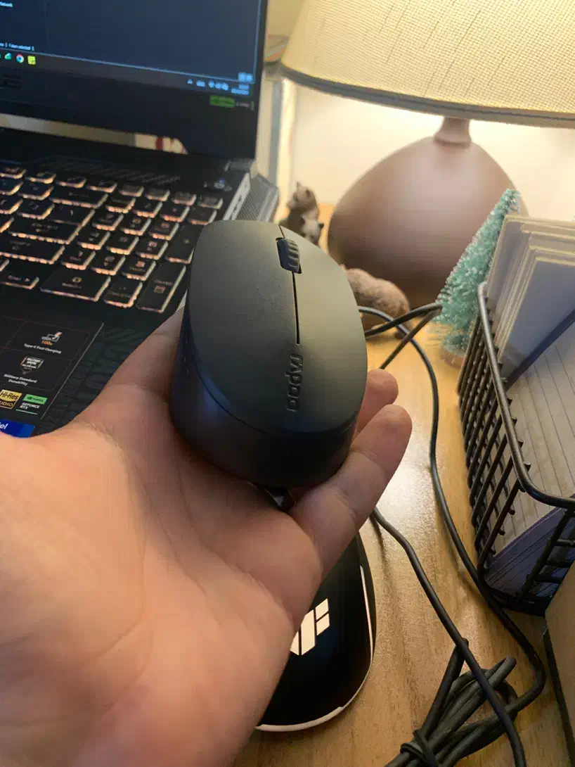 موس رپو Rapoo سایلنت دو منظوره|قطعات و لوازم جانبی رایانه|تهران, آهنگران (سراسیاب دولاب)|دیوار