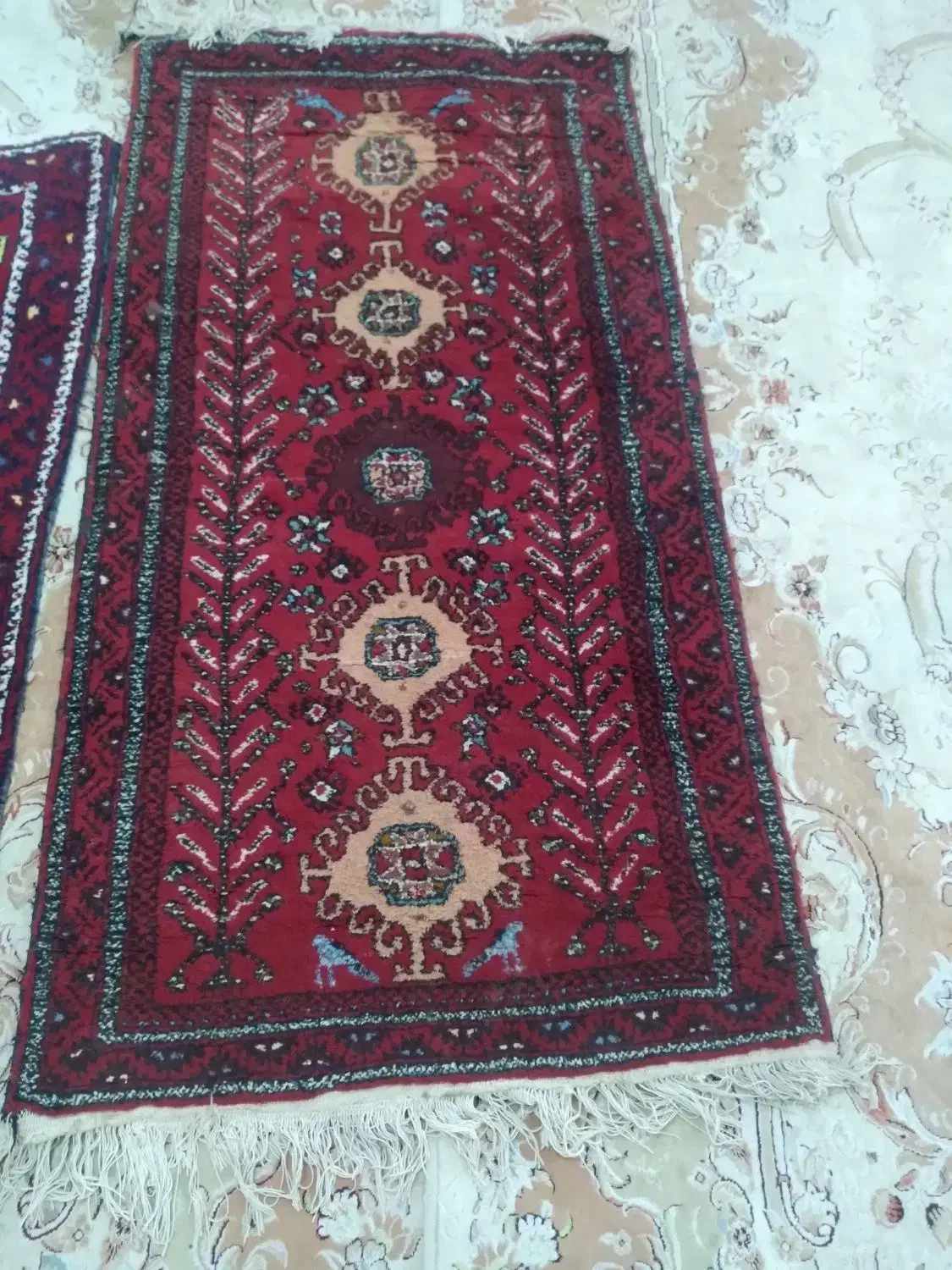 سه قالیچه کارکرده|فرش|قائن, |دیوار