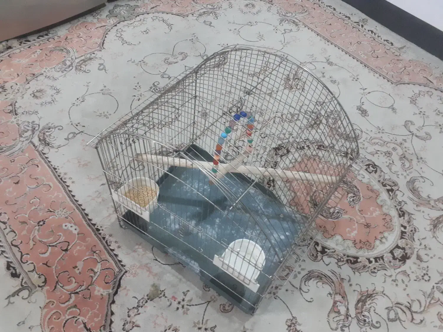 قفس پرنده|لوازم جانبی حیوانات|ری, فیروزآبادی|دیوار