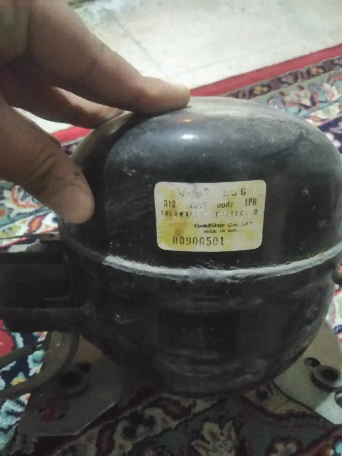 فروش فوری یک عدد موتور سویسی یخچال در حد نو|یخچال و فریزر|مرودشت, شهرک مهدیه|دیوار