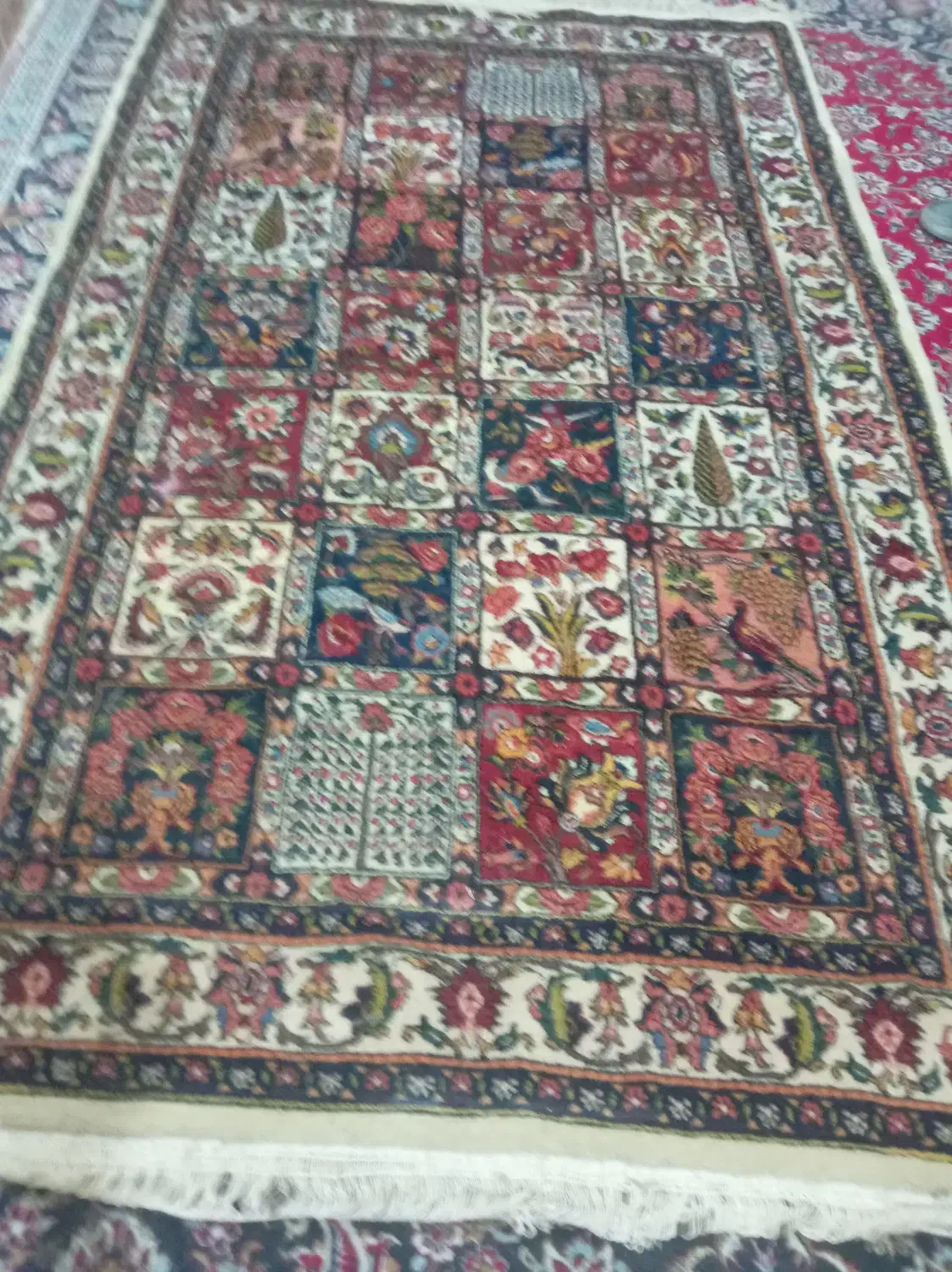 یک قالی  تمیز|فرش|شهرکرد, |دیوار