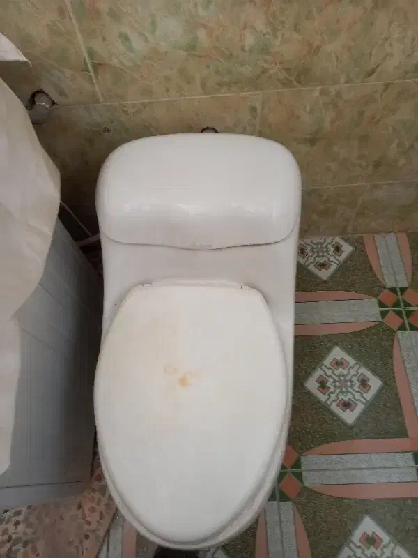 توالیت فرنگی|لوازم سرویس بهداشتی|برازجان, |دیوار