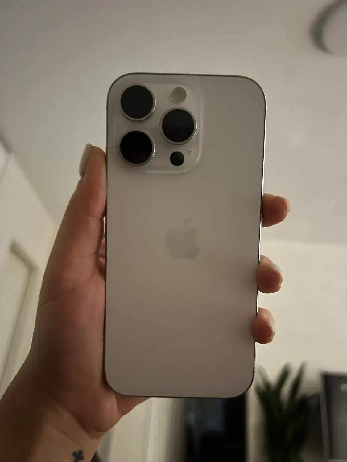 ایفون ۱۶ پرو iphone16 pro 256|موبایل|تهران, زعفرانیه|دیوار