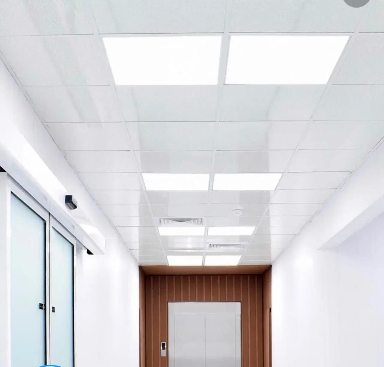 سقف کاذب دیوار پوش ماربل شیت کاغذ دیواری|خدمات پیشه و مهارت|اهواز, گلستان|دیوار