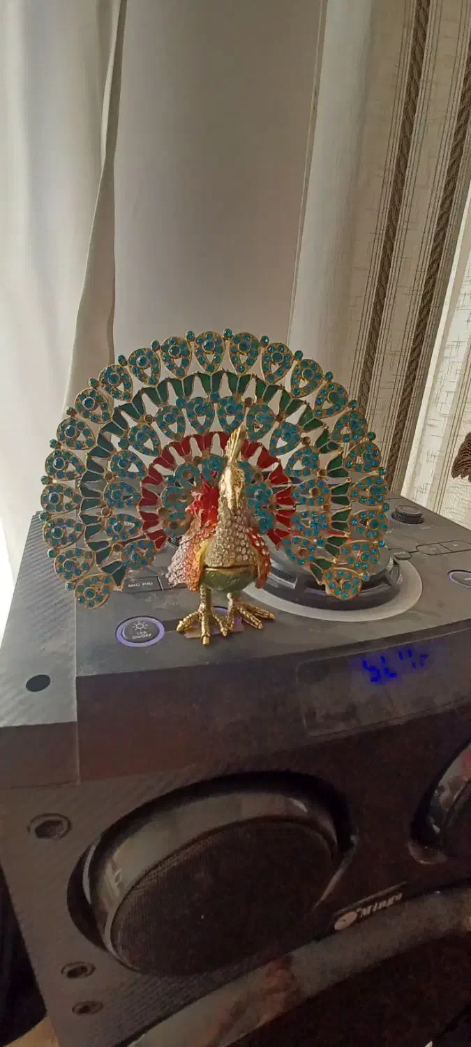 طاووس|مجسمه، تندیس، ماکت|تبریز, |دیوار