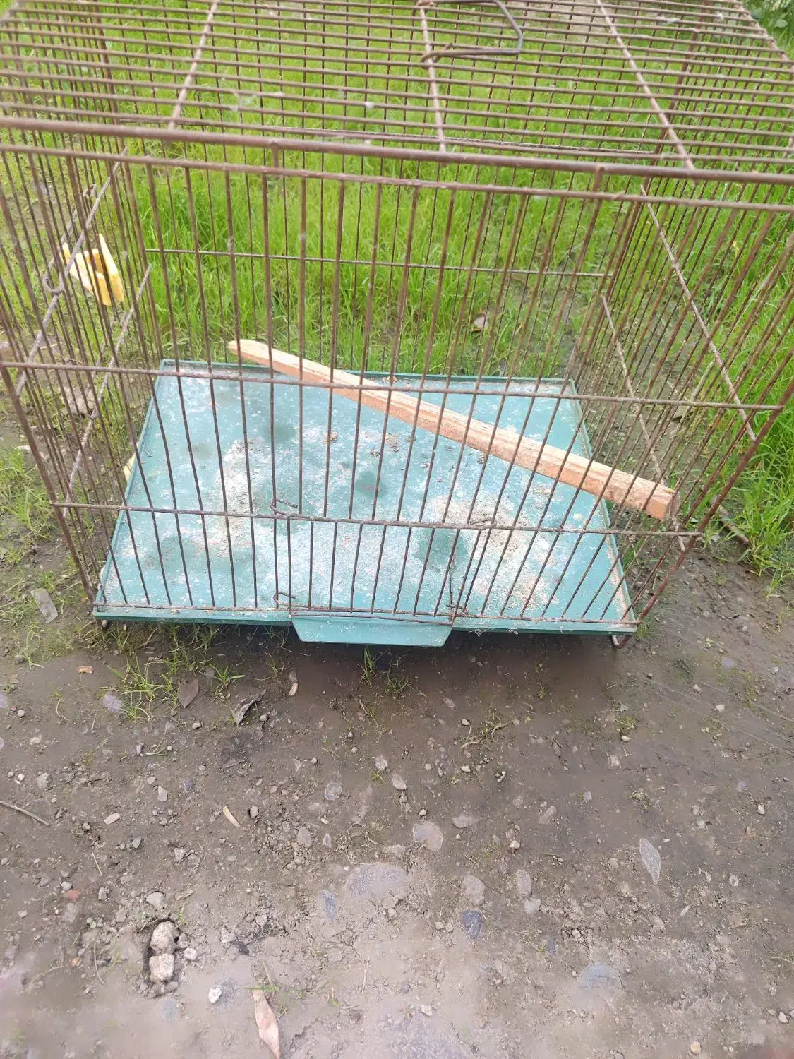 قفس پرنده|لوازم جانبی حیوانات|رشت, معلولین|دیوار