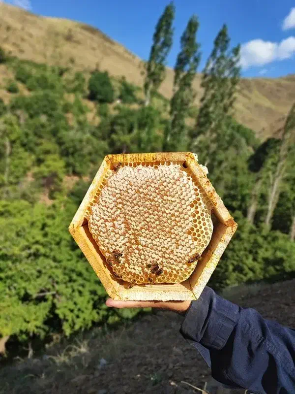 عسل کاملاًطبیعی ارگانیک برای دیابتی ها قلب و گوارش|عمدهفروشی|سنندج, |دیوار