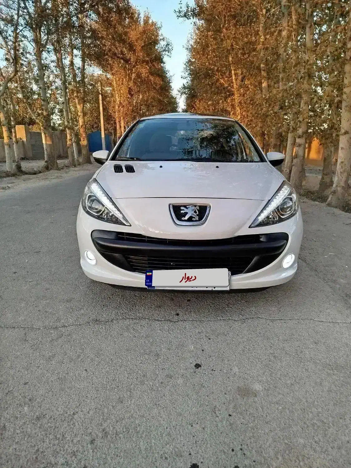 ۲۰۷ پاناروما ۱۴۰۲|خودرو سواری و وانت|مشکیندشت, |دیوار